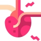 Chronic Conditions