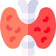 Thyroid